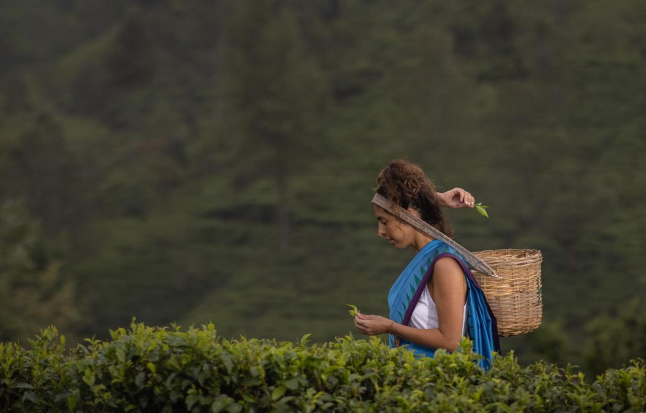 Heritance Tea Factory Nuwara Eliya Bagian luar foto